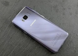 Samsung Galaxy S8+ thêm màu tím khói ở VN