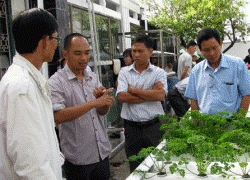 Siêu độc đáo: Làm vườn bằng công nghệ... điện toán đám mây