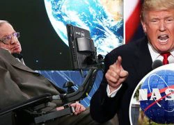 Stephen Hawking hé lộ những điều người ngoài hành tinh biết về Trump