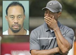 Tiger Woods phờ phạc, kêu oan khi bị bắt giam