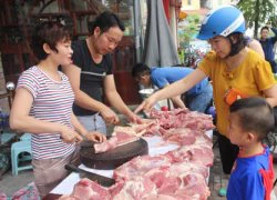 Tôm chết hàng loạt, dân Hà Tĩnh vớt cho lợn, gà ăn