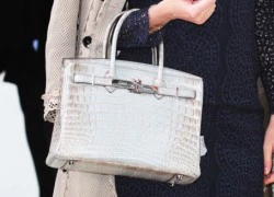 Túi Hermès Birkin da cá sấu bạch tạng có kỷ lục mới