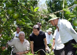 Vốn ưu đãi "né" trang trại nông nghiệp