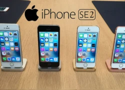 Apple ra mắt iPhone SE2 tháng 8, iPhone 8 vào tháng 10