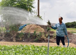 Chuyện có thật: Mùa này giá rau tăng cao, nhà nông vẫn lo ngay ngáy