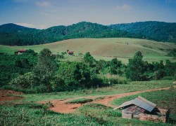 Cung trek đại ngàn Tà Năng - Phan Dũng đẹp nhất Việt Nam