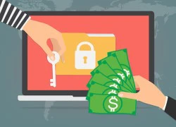 Đã có cách giải mã các tập tin bị mã hóa bởi ransomware NotPetya