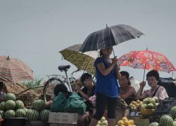 Đây là minh chứng cuộc sống ở Triều Tiên bình yên đến ngỡ ngàng