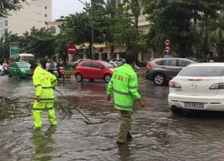 Dự án Núi Pháo có &#8220;hàng núi&#8221; vi phạm