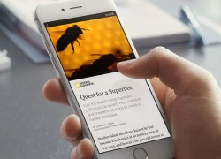 Facebook phát hành công cụ phân tích Instant Articles