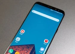 Galaxy S8 mini lộ diện với màn hình 5,3 inch, chip Snapdragon 821