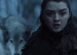 'Game of Thrones': Lý giải chi tiết sói Nymeria bỏ mặc Arya Stark