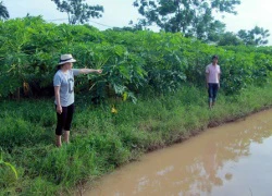 Hà Nội: Điều tra vụ cháu bé 10 tuổi tử vong ở rãnh nước