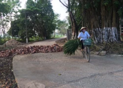 Hà Nội: Hàng loạt cựu cán bộ xã Đồng Tâm hầu toà vì "vô tư" bán đất