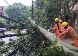 Hà Tĩnh, Thanh Hóa: 100% người dân được cấp lại điện sau bão Talas.