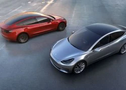 Hình ảnh đầu tiên về Tesla Model 3 bản hoàn thiện