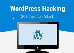 Hơn 300.000 trang web sử dụng plug-in WordPress dính lỗ hổng SQL Injection