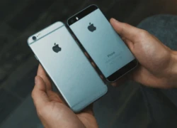 iPhone 6, 5s bán chạy hơn iPhone 7