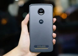 Moto Z2 Play chính hãng có giá 11 triệu đồng