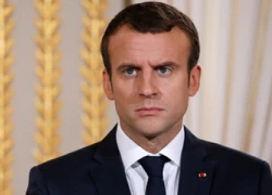 Pháp điều tra bữa tiệc 456.000 USD liên quan đến Tổng thống Macron