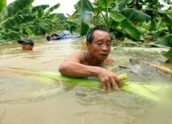 Săn đặc sản trên "ốc đảo" giữa lòng Hà Nội những ngày nước lên