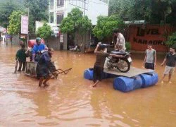 Sơn La: Bác tin đồn cá sấu xuất hiện trong mưa lũ tại Mường La