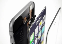 Toàn bộ iPhone 2018 sẽ dùng màn hình OLED