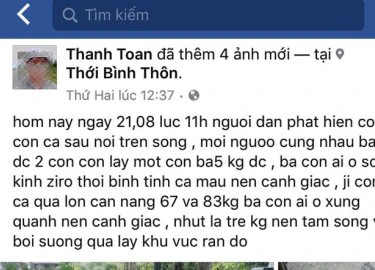 Đăng tin thất thiệt bắt được cá sấu 83kg ở Cà Mau, bị phạt 10 triệu