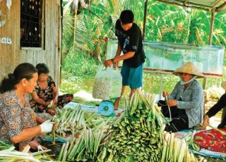 Đặc sản miệt Cà Mau: Mờ sáng dân kéo nhau ra đồng nhổ bồn bồn