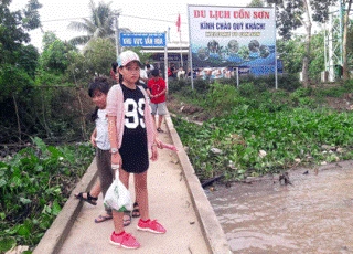 Cần Thơ: Resort "hất cẳng" những đàn cá lóc... bay