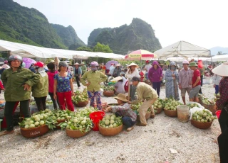 Chợ na lớn nhất cả nước: Được mùa, nhiều quả nặng "khủng" trên 1kg