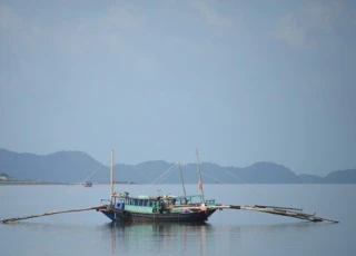 Quảng Ninh: Bí thư chỉ đạo, vẫn ngang nhiên tận diệt thủy sản