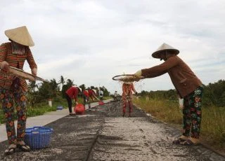 Dân biển Cà Mau tranh thủ kiếm bộn tiền, nhờ nghề đẩy te bắt ruốc