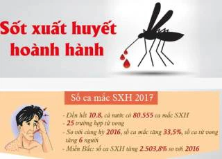 Đừng thơ ơ với sốt xuất huyết khi thấy những con số đáng sợ này