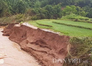 Ngược lũ cùng Bí thư Tỉnh ủy Quảng Ninh