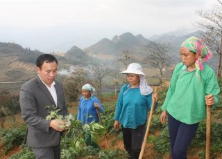 Bản Mông Lào Cai đón những người con đi học rồi trở về giúp dân bản