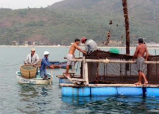 "Tôi kinh hoàng khi chứng kiến sự ô nhiễm tại vịnh Xuân Đài"