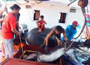 Giám đốc học hết lớp 9 có biệt tài "đỡ đẻ" những con tàu cá "khủng"