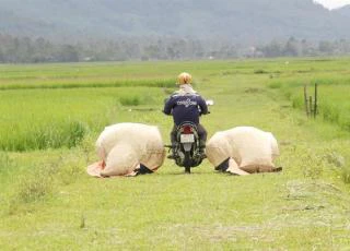 &#8220;Hốt&#8221; bạc triệu mỗi ngày từ nghề chạy xe săn châu chấu làm mồi nhậu