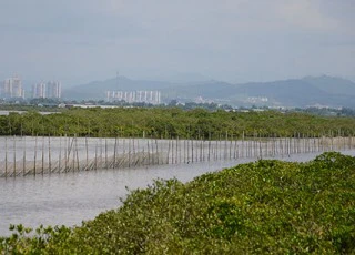 Quảng Ninh: Thủy, hải sản vẫn ngang nhiên bị tận diệt