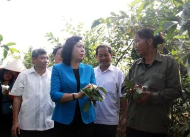 Thanh Trì có 94,2% dân số hài lòng về xây dựng nông thôn mới