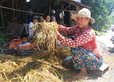 Miền Tây xả nước, gom phù sa cứu hàng ngàn ha lúa