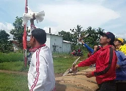 Chim bồ câu làm tăng tỷ lệ ly hôn ở Indonesia