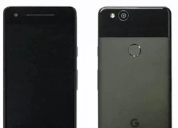 Google Pixel thế hệ mới có thể giữ nguyên thiết kế