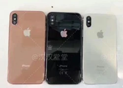 iPhone 8 có thể chỉ có 3 màu