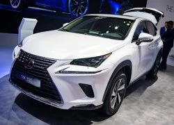 Lexus NX 2018 ra mắt thị trường Việt Nam