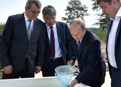 Ông Putin không ngại ướt giày, thả 50.000 con cá xuống hồ Baikal