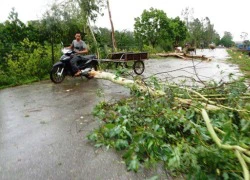 Tháng 8, Việt Nam phải hứng chịu bao nhiêu cơn bão?