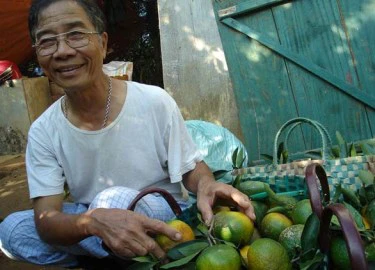 Hòa Bình: Hàng nghìn tỷ phú "xếp hàng" đăng ký sản xuất kinh doanh giỏi