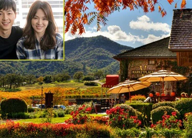 Song Hye Kyo có thể chọn thung lũng Napa để chụp ảnh cưới